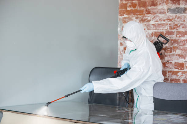 Forensic Mold Investigation in Rockport, TX